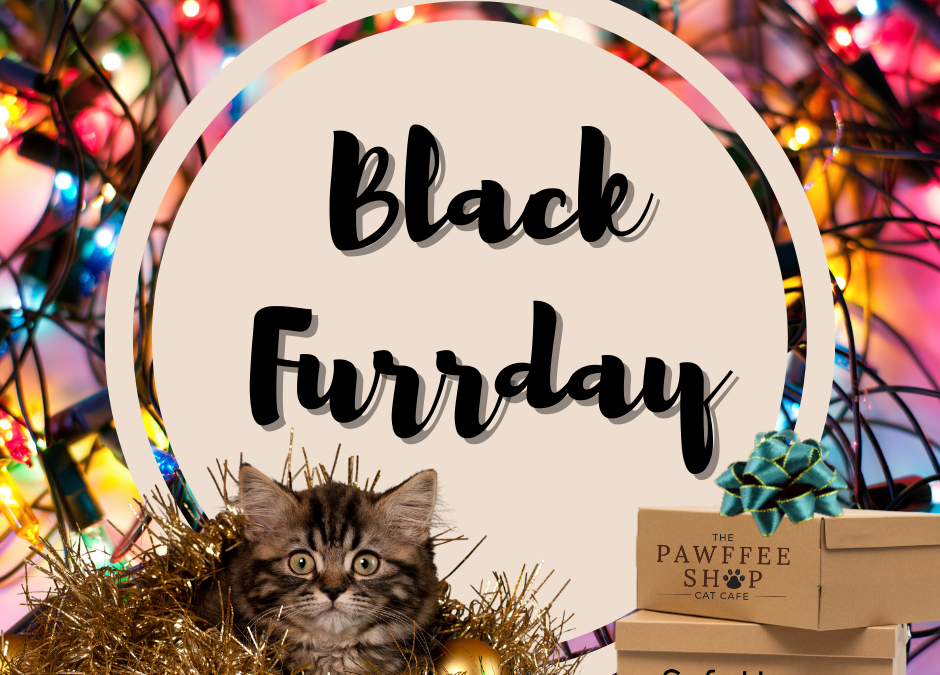 BLACK FURRDAY BOX SALE!