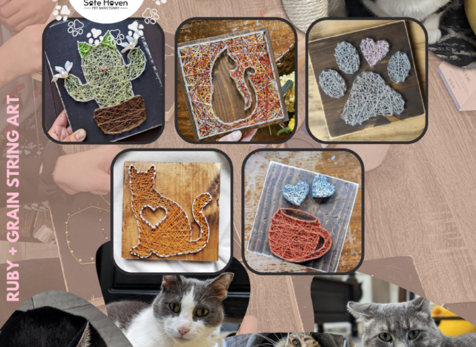 String Art With Kitties 11/8