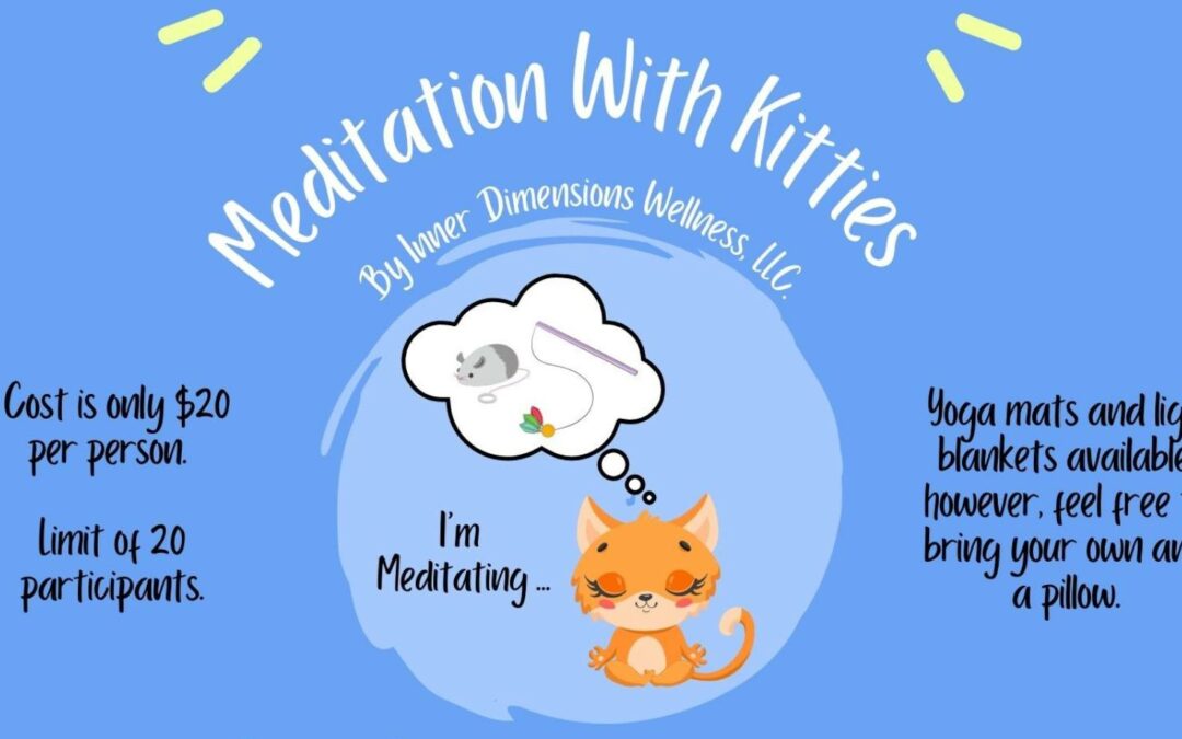 Meditation with Kitties