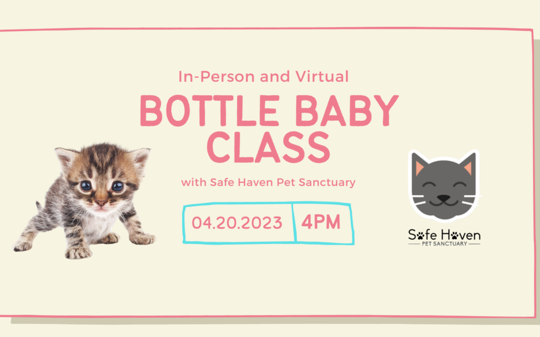 Hands On Bottle Baby Class