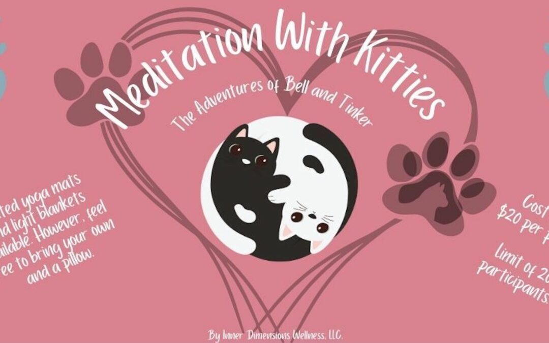 Meditation with Kitties
