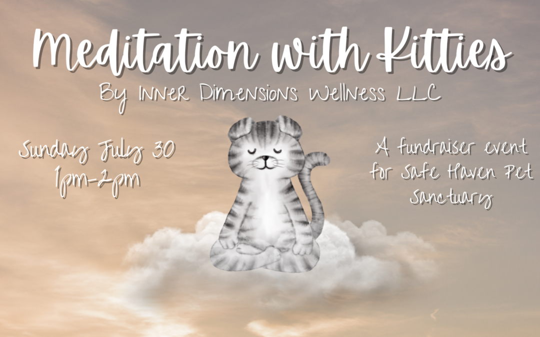 Meditation with Kitties