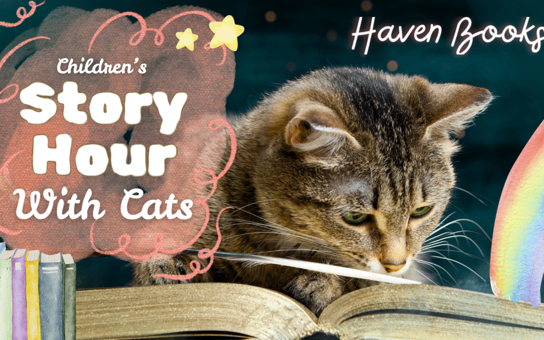 Story Hour With Kitties