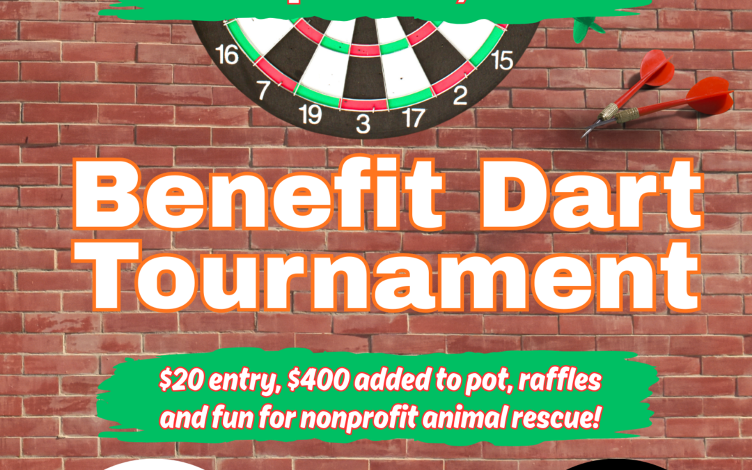 Safe Haven Benefit Dart Tournament