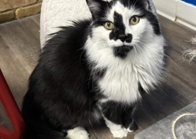 FLUFFY