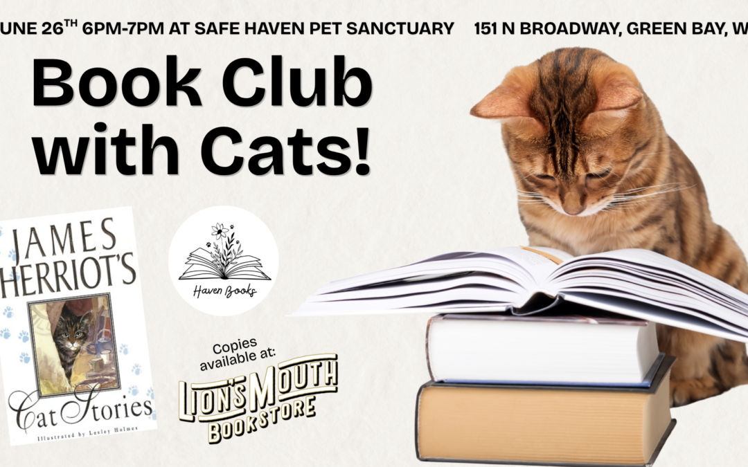 Book Club With Cats