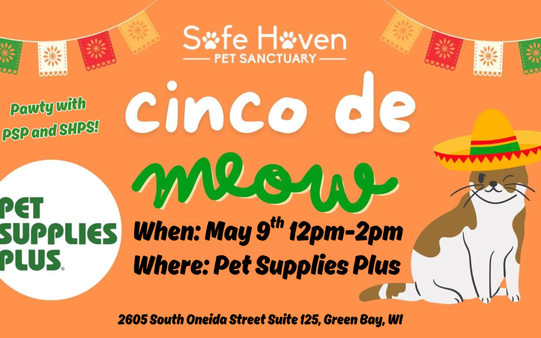 Cinco De Meow at Pet Supplies Plus