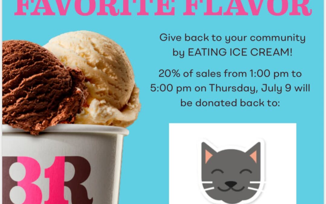 Baskin Robbin’s Fundraiser for Safe Haven