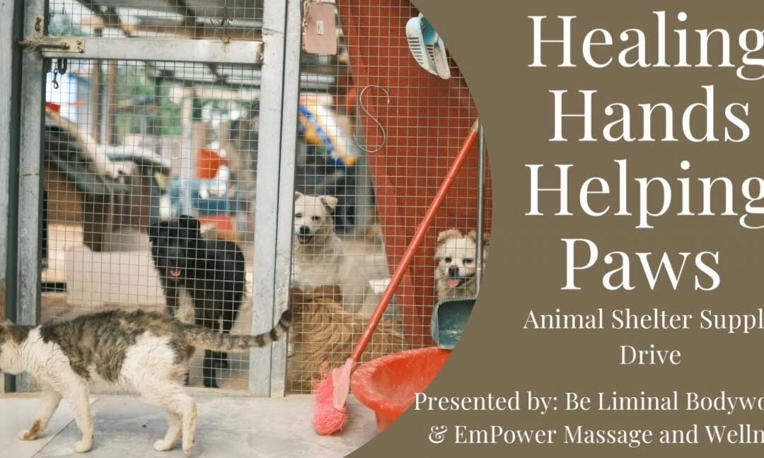 Helping Hands Helping Paws – Animal Shelter Supply Drive