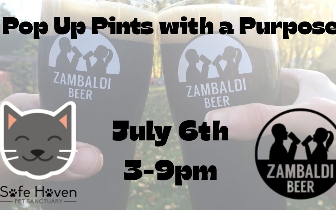 Pop Up Pints with a Purpose Supporting Safe Haven